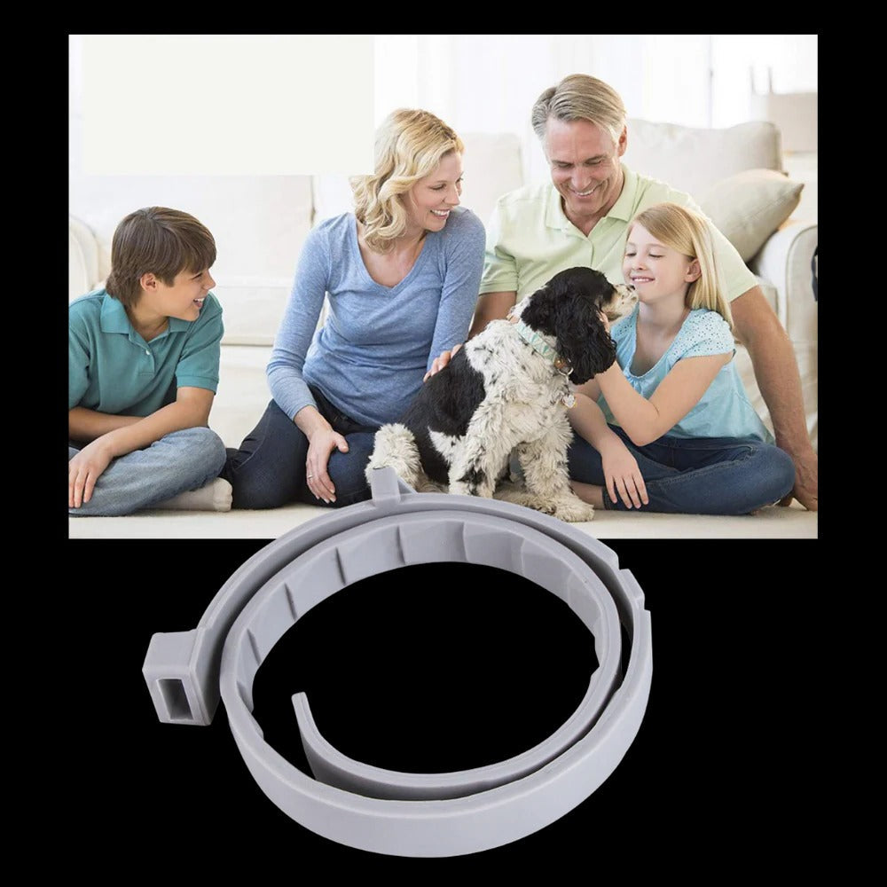 Adjustable Pet Collar for Dogs & Cats