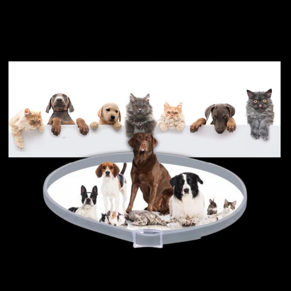 Adjustable Pet Collar for Dogs & Cats