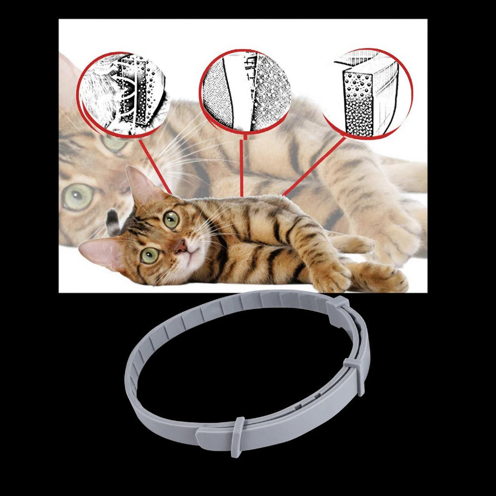 Adjustable Pet Collar for Dogs & Cats