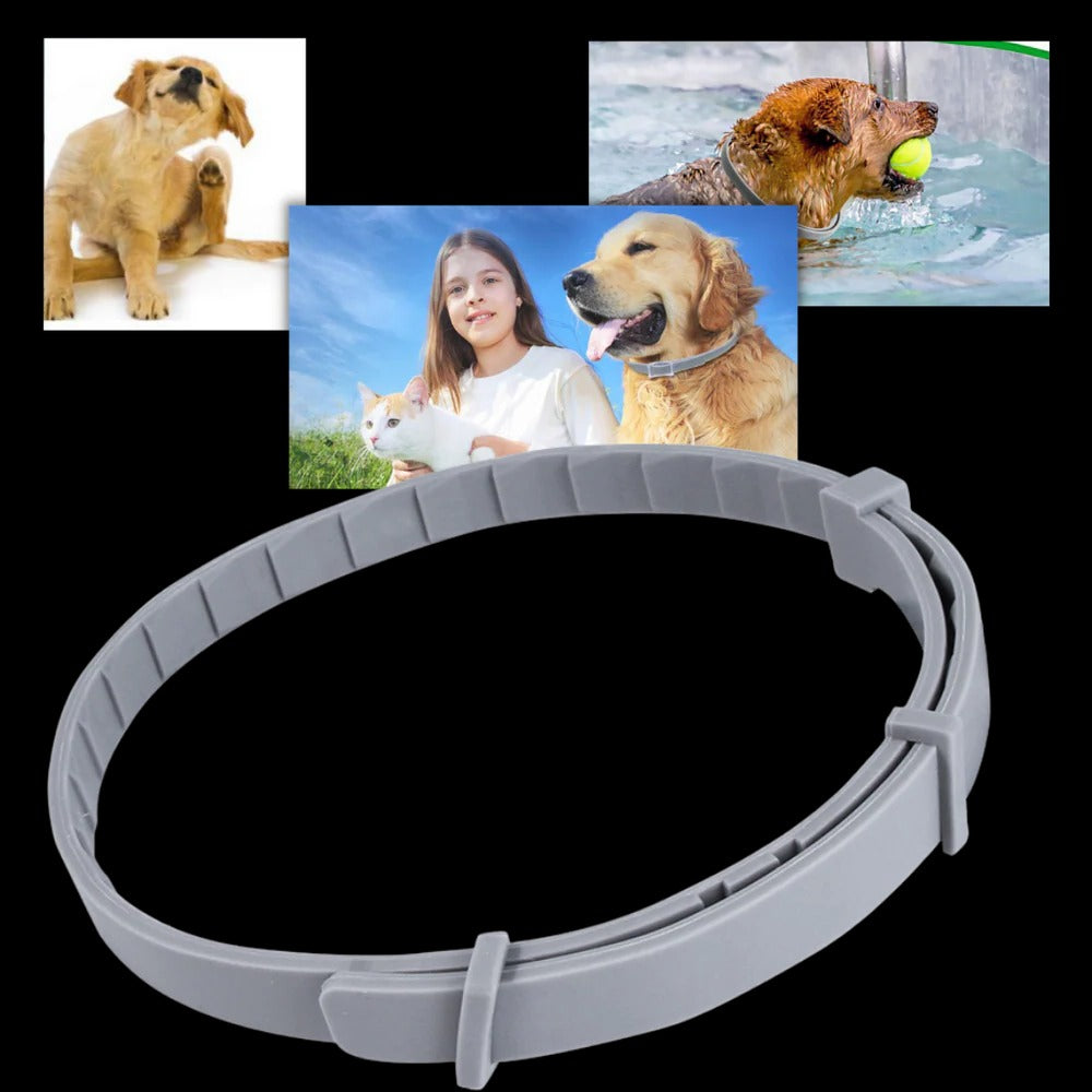 Adjustable Pet Collar for Dogs & Cats