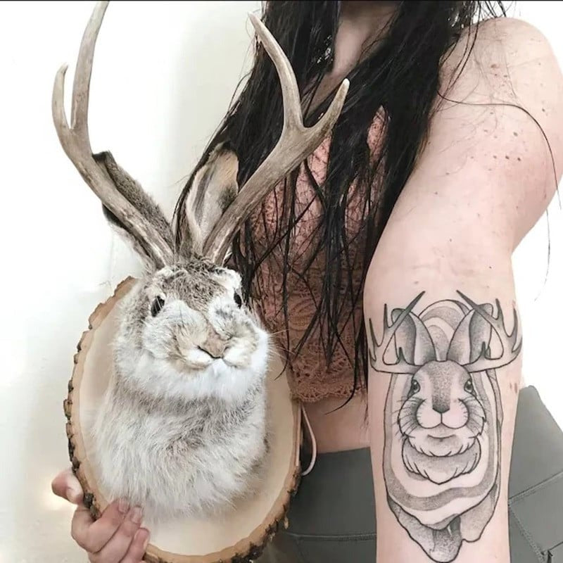 Jackalope Faux Mount Wall Decor