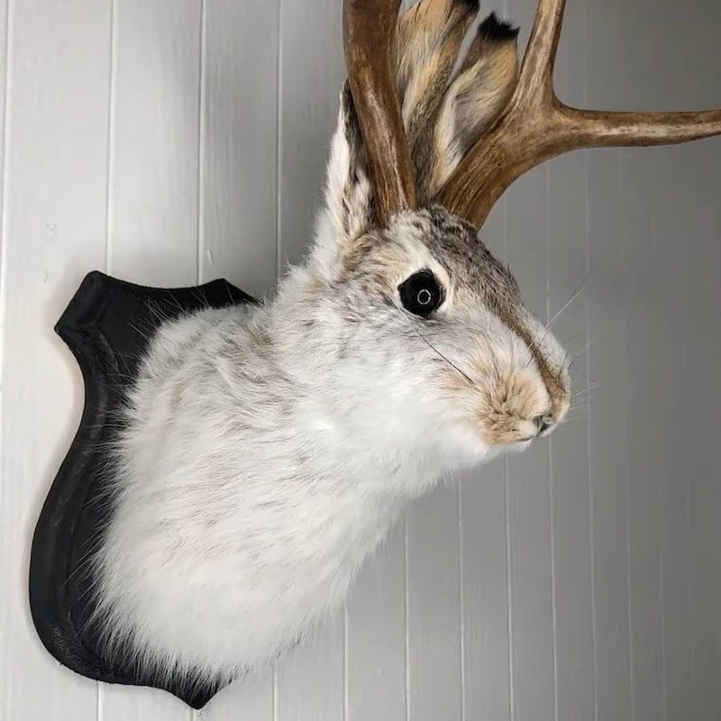 Jackalope Faux Mount Wall Decor