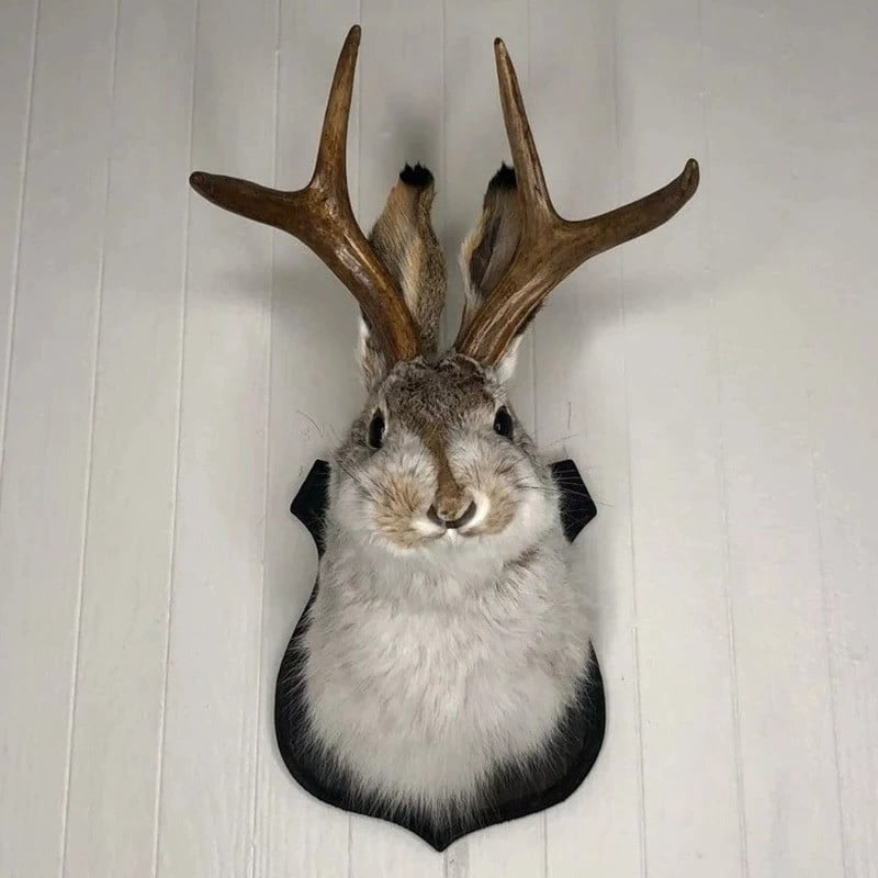 Jackalope Faux Mount Wall Decor