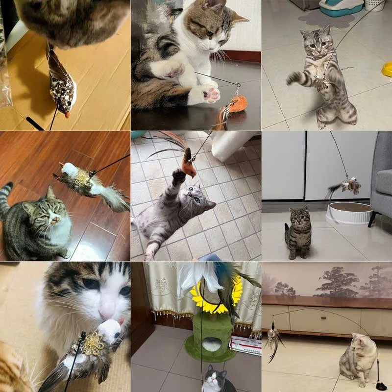 Bird Simulation Interactive Cat Toy Set