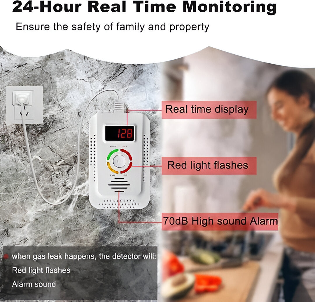 Plug-In Gas & CO Detection Unit