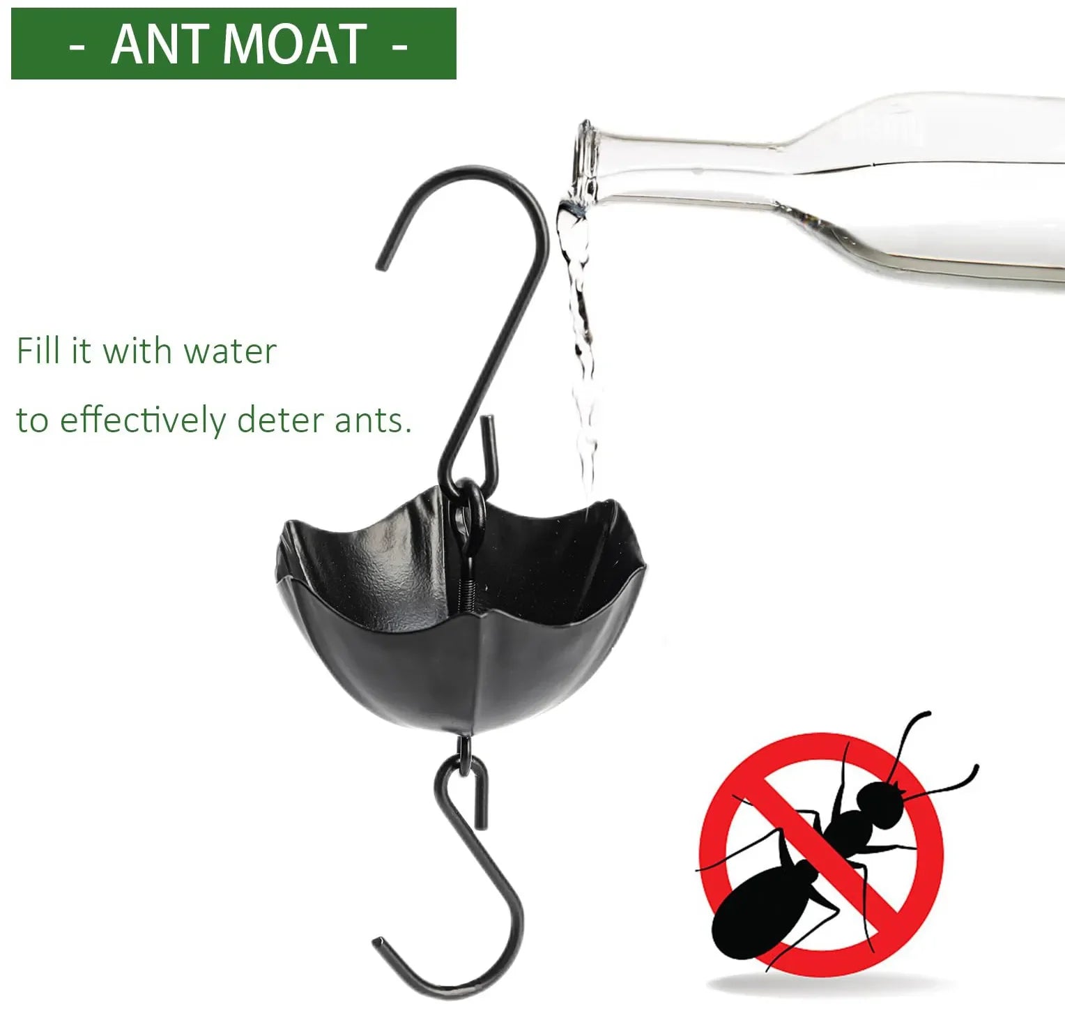 Glass Hummingbird Feeder with Ant Moat