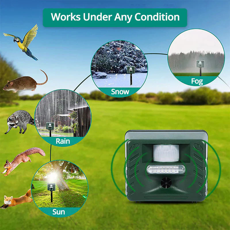 Solar Ultrasonic Woodpecker Repeller