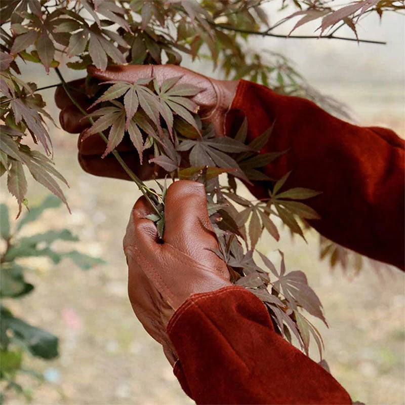 Multifunctional Garden Gloves with Claws