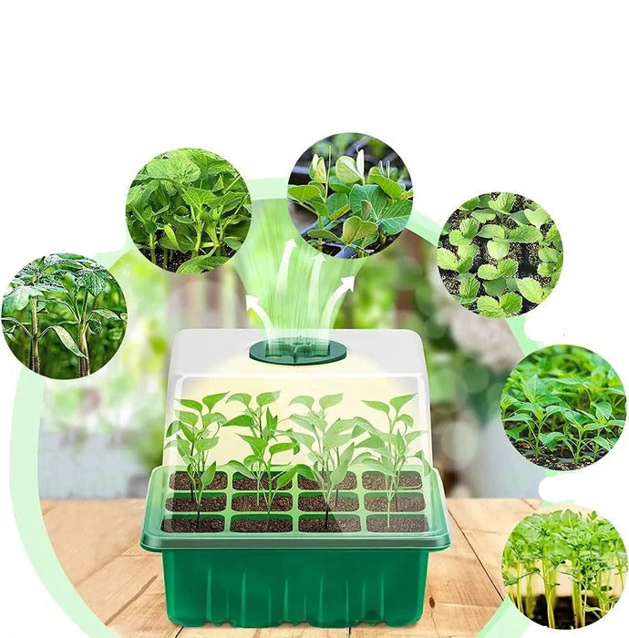 Nursery Pot Seed Starter Tray with Grow Light