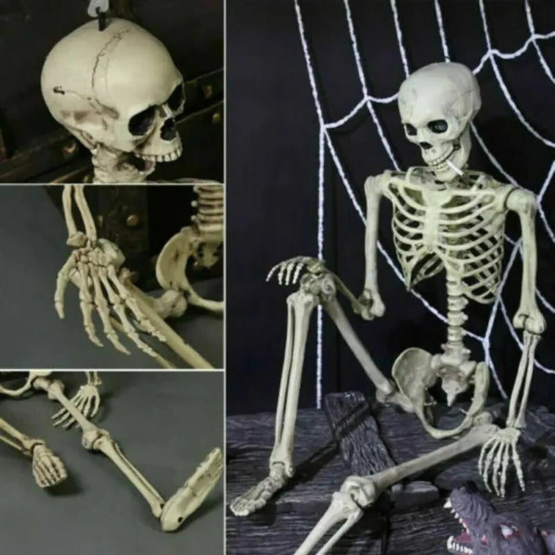 Poseable Halloween Skeleton Decoration
