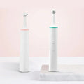 Dental Plaque Remover for Teeth & Gums
