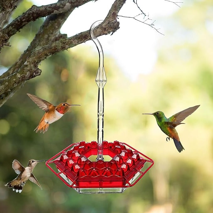 Ant-Proof Hummingbird Feeder