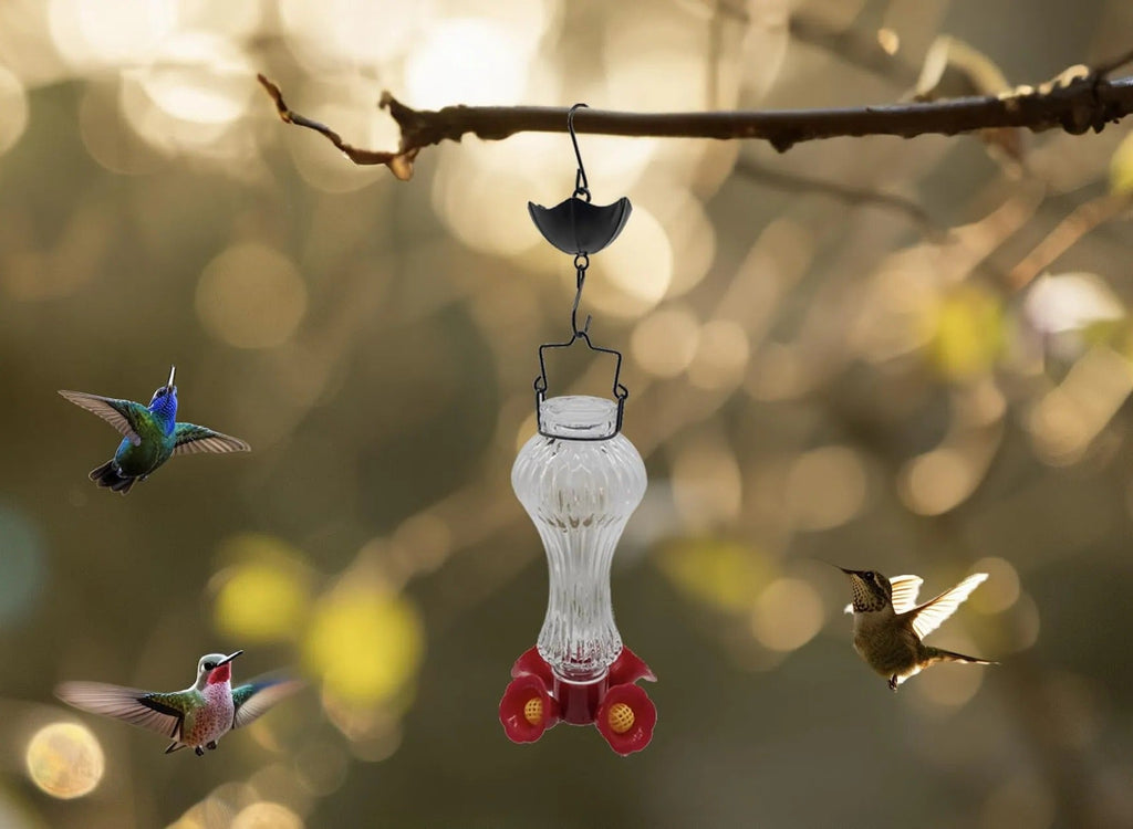 Glass Hummingbird Feeder with Ant Moat