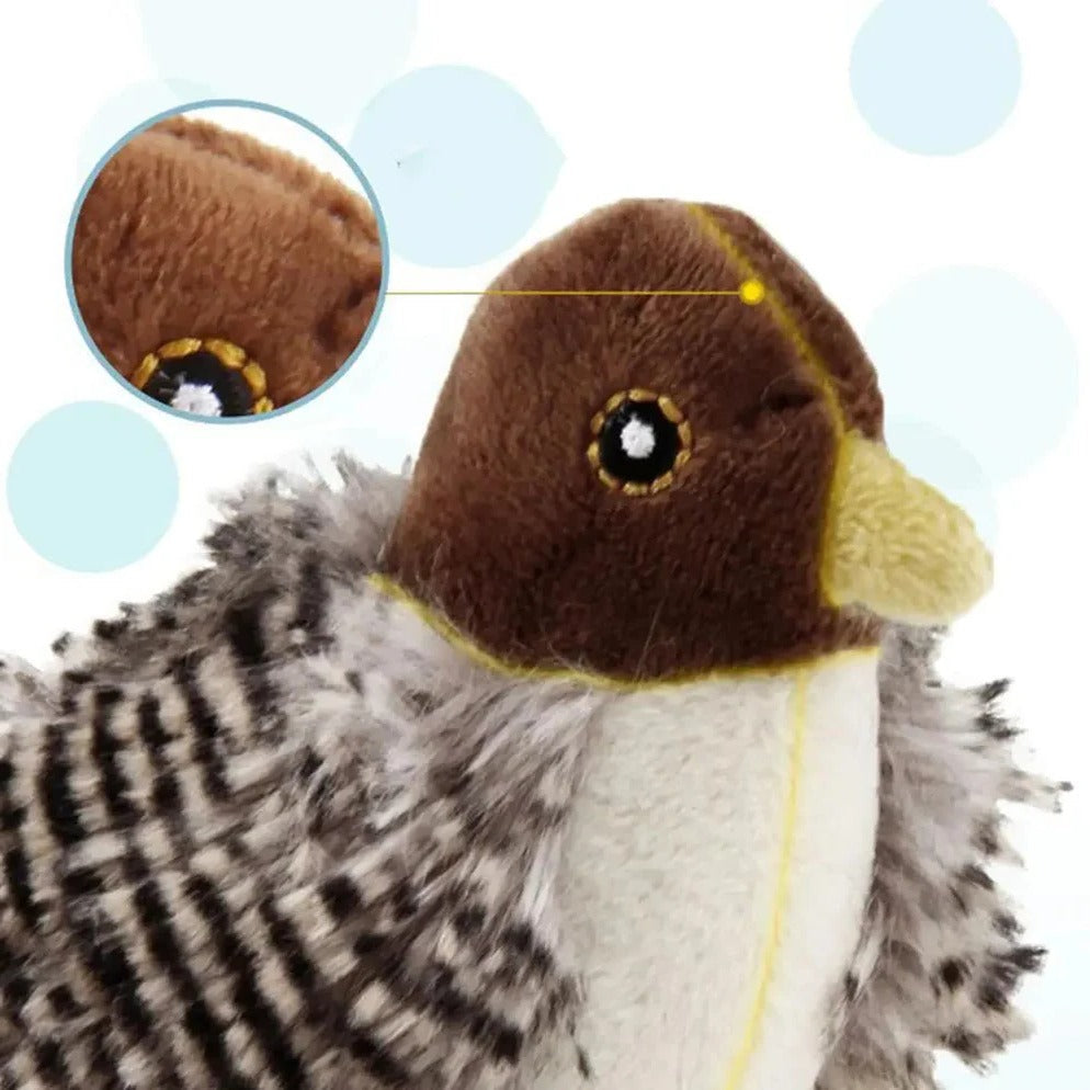 Flapping Sound Bird Cat Toy