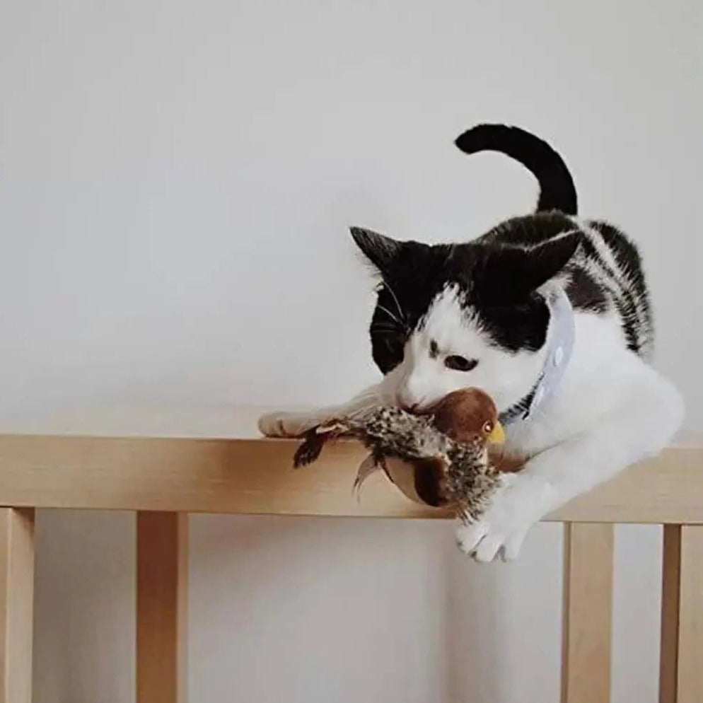 Flapping Sound Bird Cat Toy