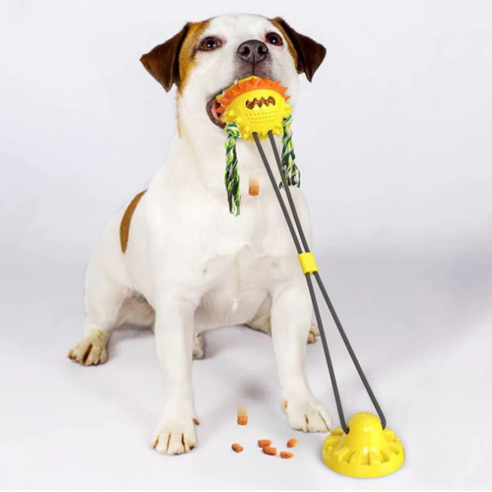 Interactive Self-Playing Pet Toy with Chew Bars
