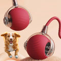 Rolling Ball with Tail Dog Toy