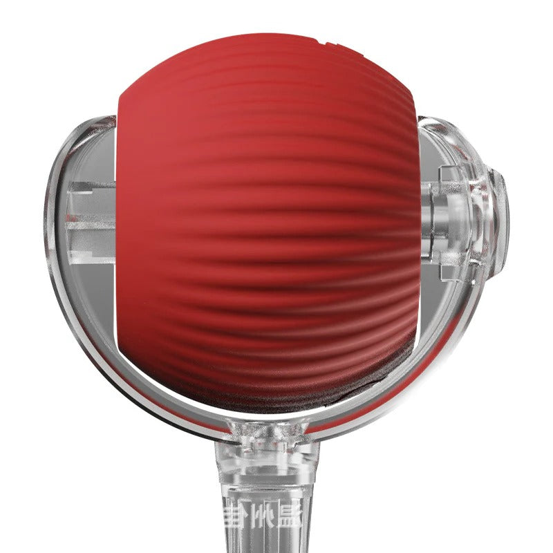 Rolling Ball with Tail Dog Toy