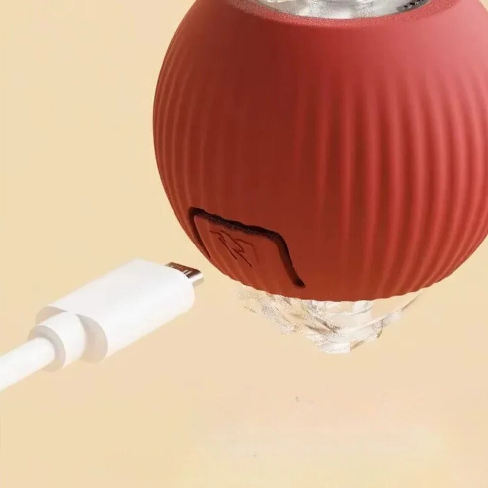 Rolling Ball with Tail Dog Toy