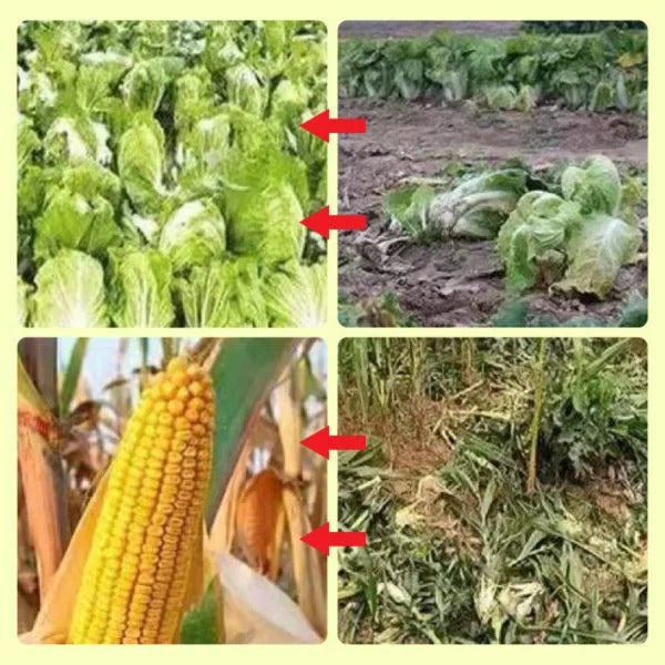Solar Animal Repellent Warning Lights