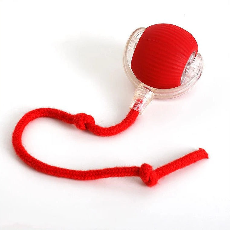 Rolling Ball with Tail Dog Toy