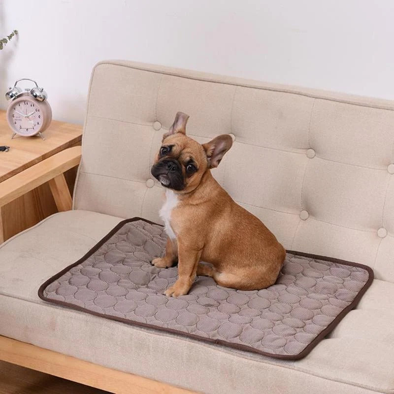 Pressure-Activated Pet Cooling Pad