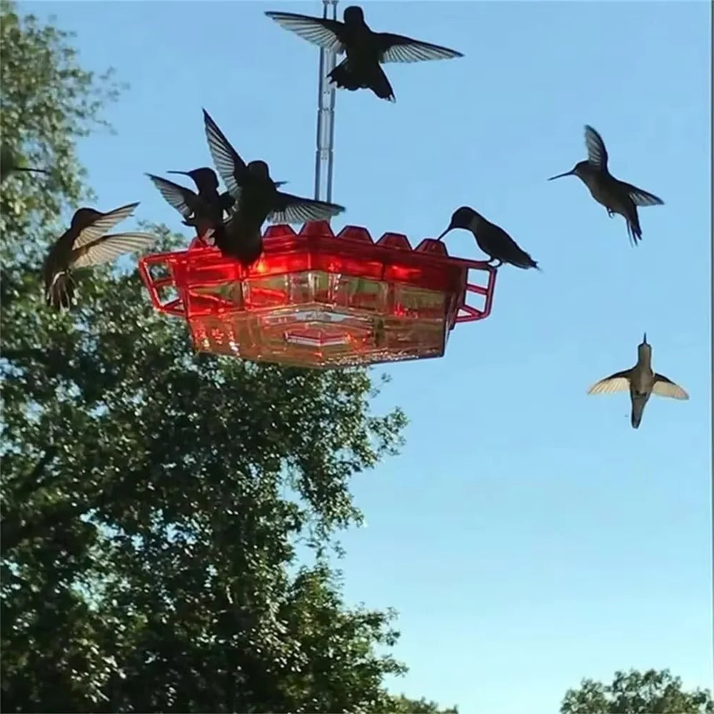 Ant-Proof Hummingbird Feeder