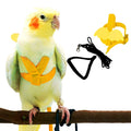 Parrot Bird Harness with Leash
