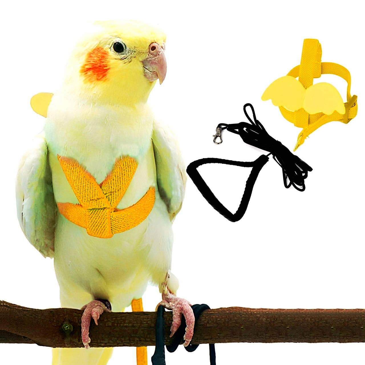 Parrot Bird Harness with Leash
