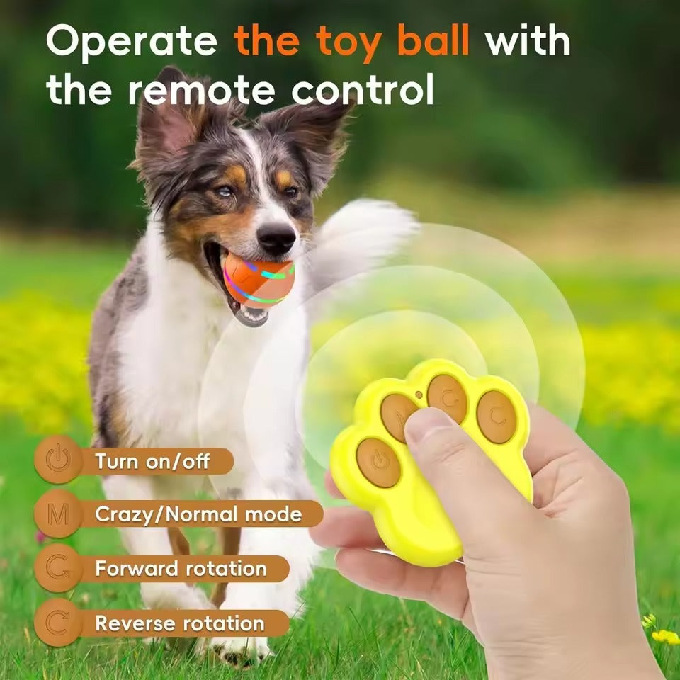 Interactive Remote Control Dog Ball Toy