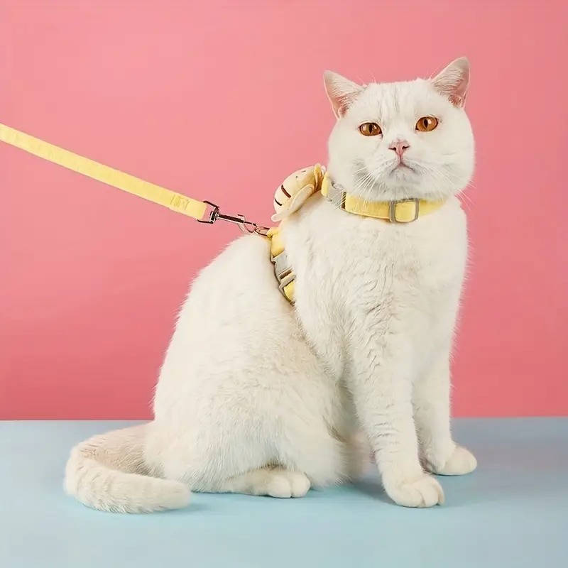 Cat Collar and Harness Set