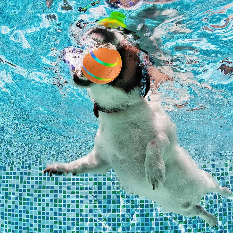 Interactive Remote Control Dog Ball Toy