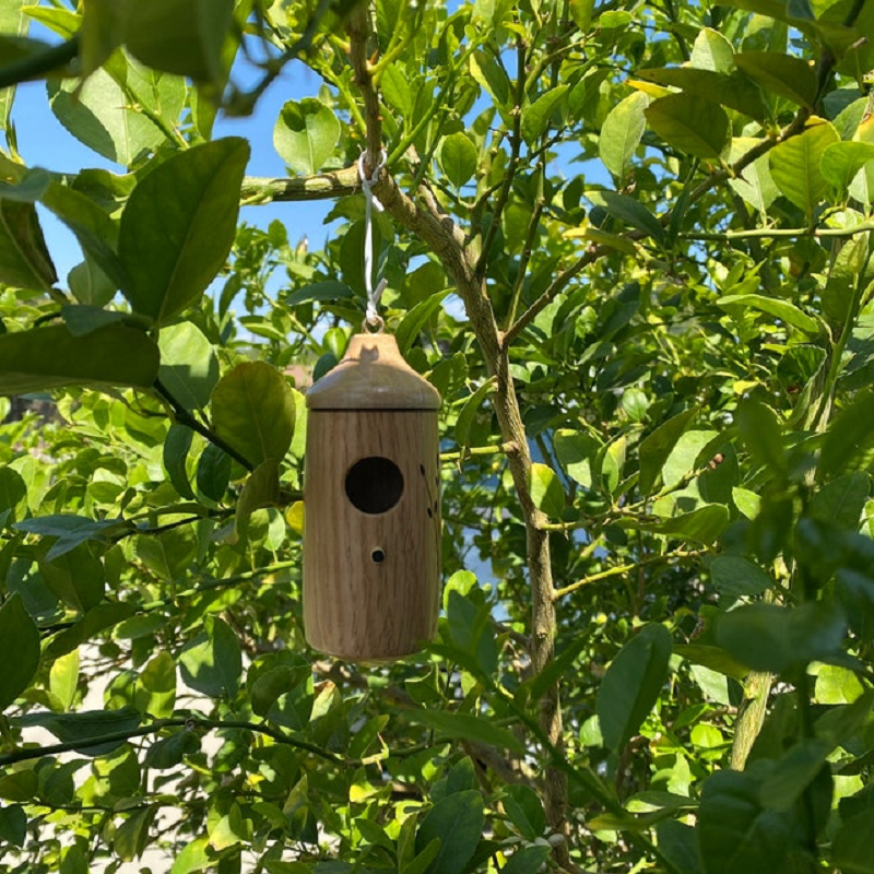 Wooden Hummingbird House Natural Garden Nest Box