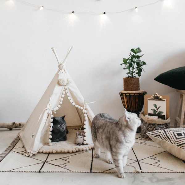 Bohemian Pet TeePee Tent