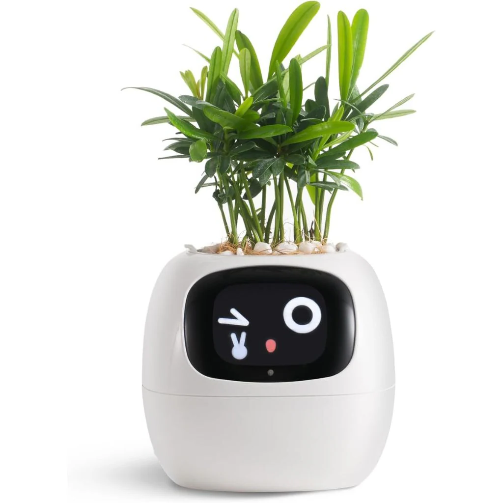 Smart Plant Pot Ivy
