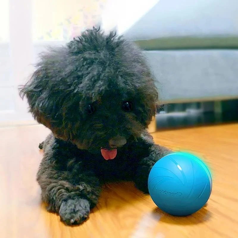 Magic Motion Ball Interactive Pet Toy