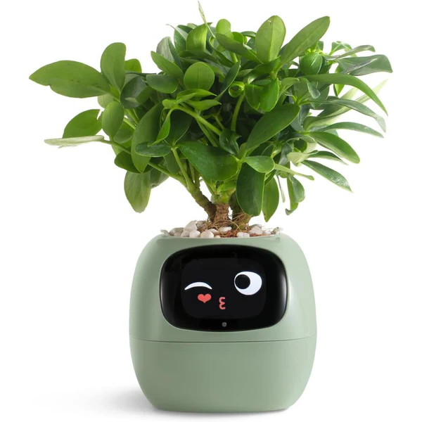 Smart Plant Pot Ivy