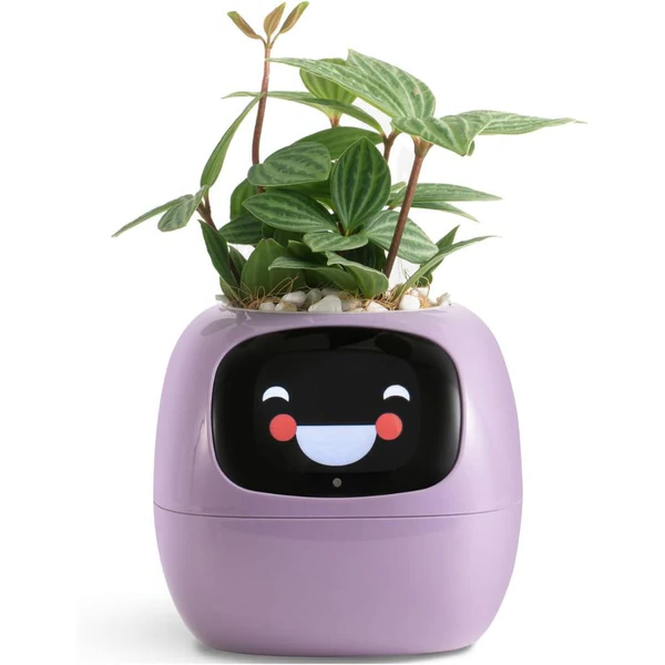 Smart Plant Pot Ivy