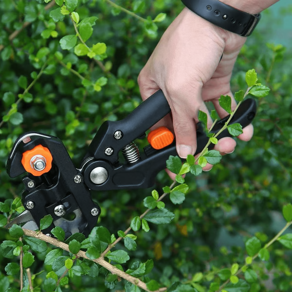 Pro Grafting & Pruning Tool Kit