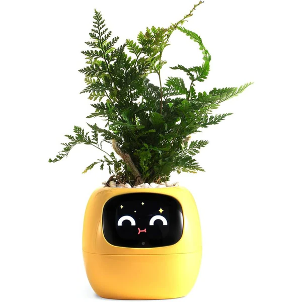 Smart Plant Pot Ivy