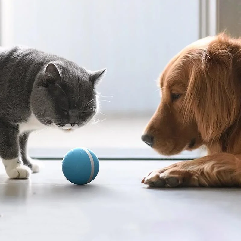 Magic Motion Ball Interactive Pet Toy