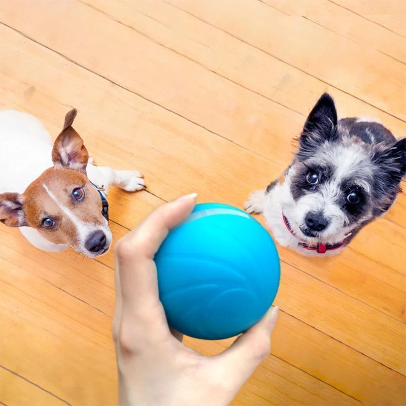 Magic Motion Ball Interactive Pet Toy