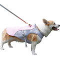 Dog Cooling Vest for Outdoor Walks