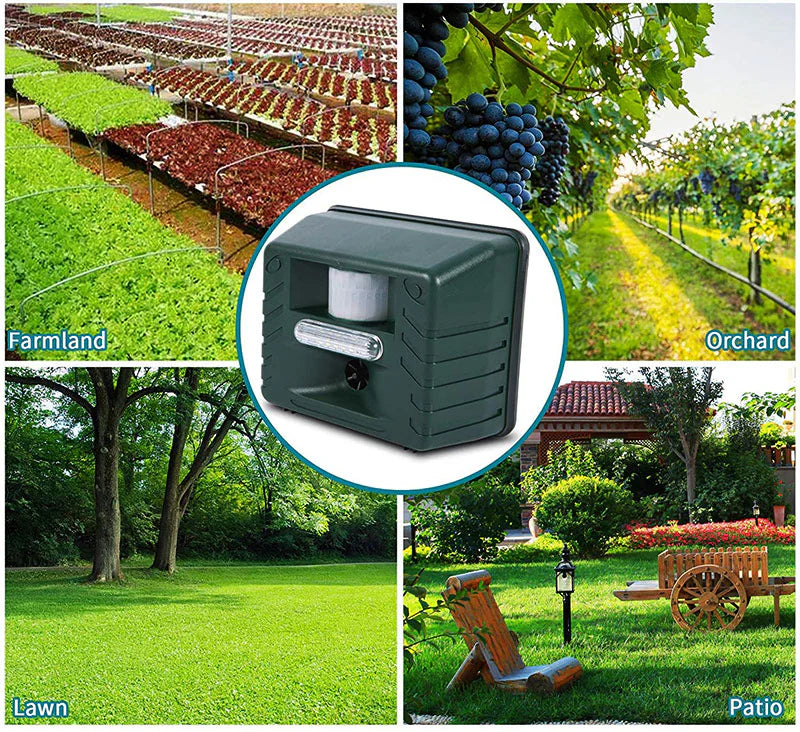 Solar Ultrasonic Woodpecker Repeller
