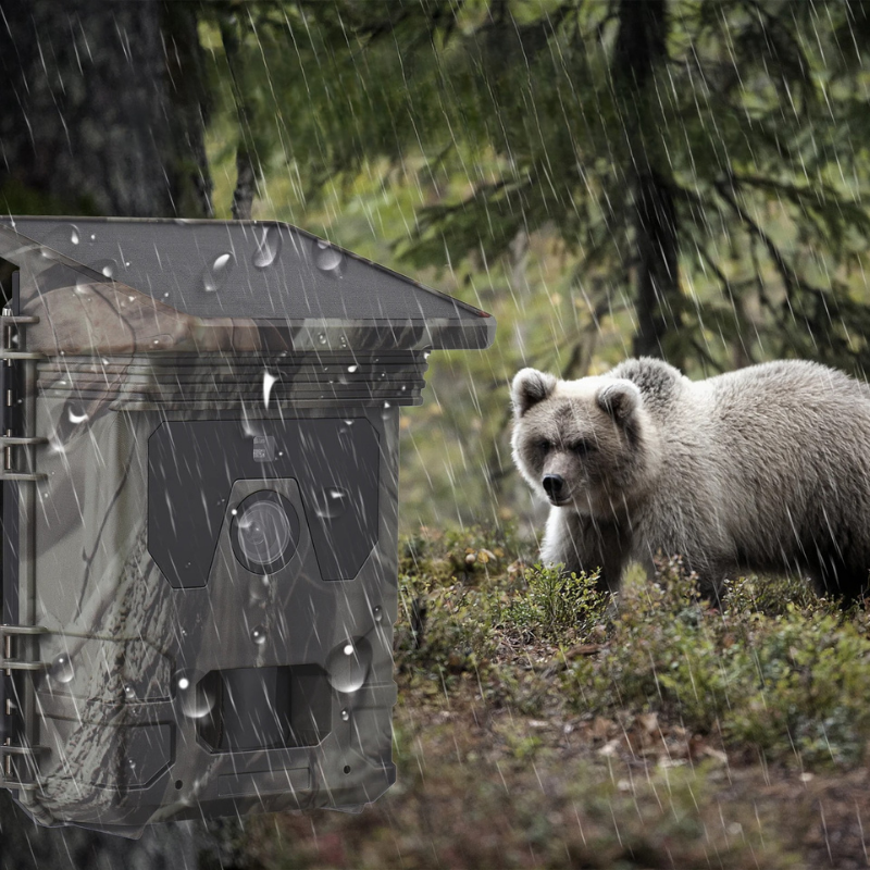 Solar Night Vision Trail Camera 4K